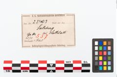 Etikett zu Bügelbesatzbogenfibel (NHMW-PRAE-025403)